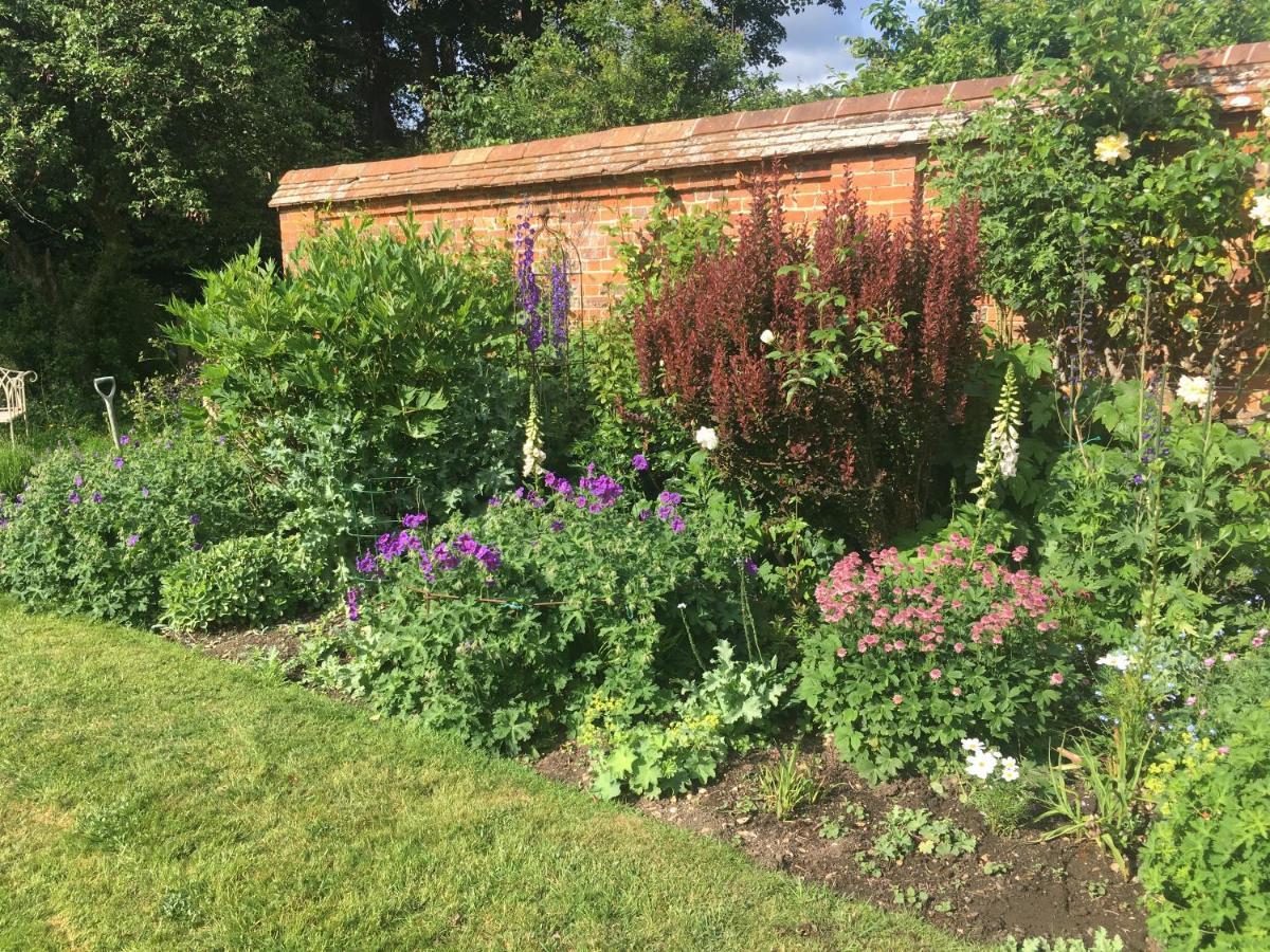 Garden Cottage B&B Penton Mewsey Eksteriør bilde